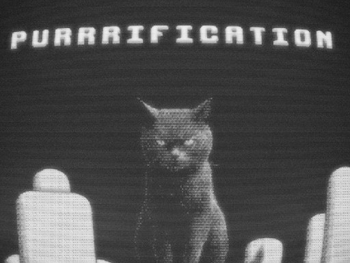 Purrfect Harmony